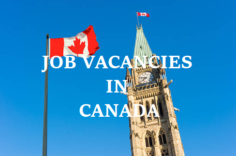 Top Government Jobs for Immigrants in Canada